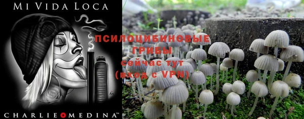 соль ск Белокуриха