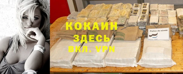 соль ск Белокуриха