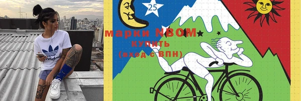 соль ск Белокуриха