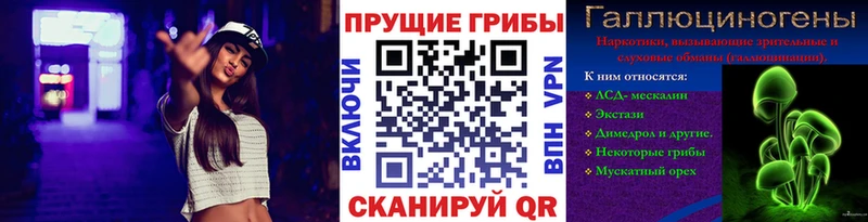 Псилоцибиновые грибы Psilocybine cubensis  Надым 